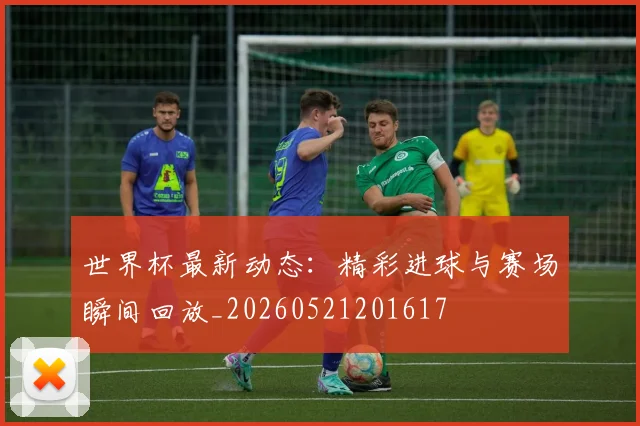 世界杯最新动态:精彩进球与赛场瞬间回放_20260521201617