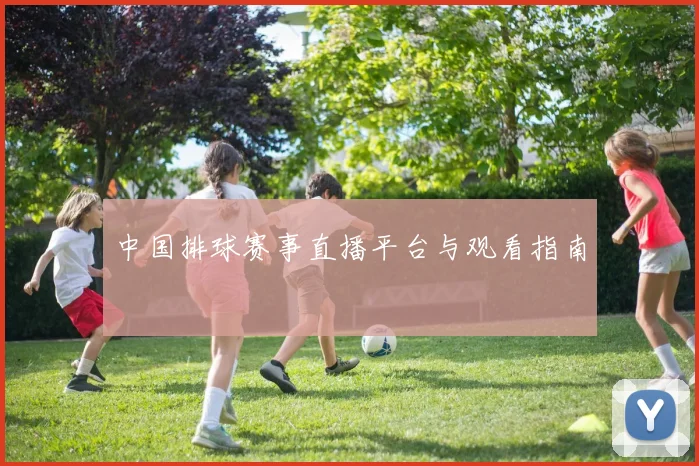中国排球赛事直播平台与观看指南