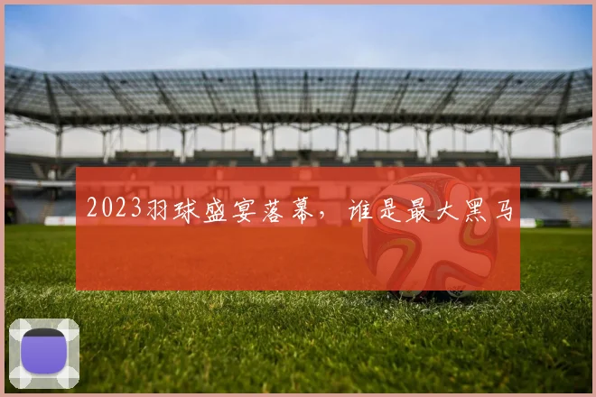 2023羽球盛宴落幕,谁是最大黑马