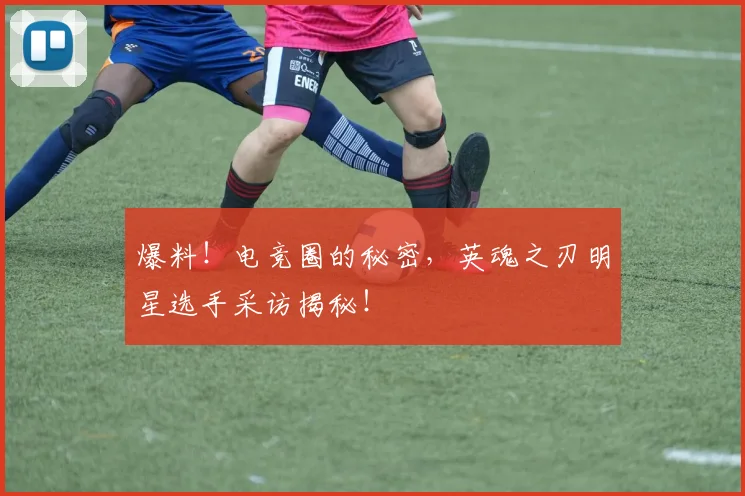 爆料！电竞圈的秘密，英魂之刃明星选手采访揭秘！