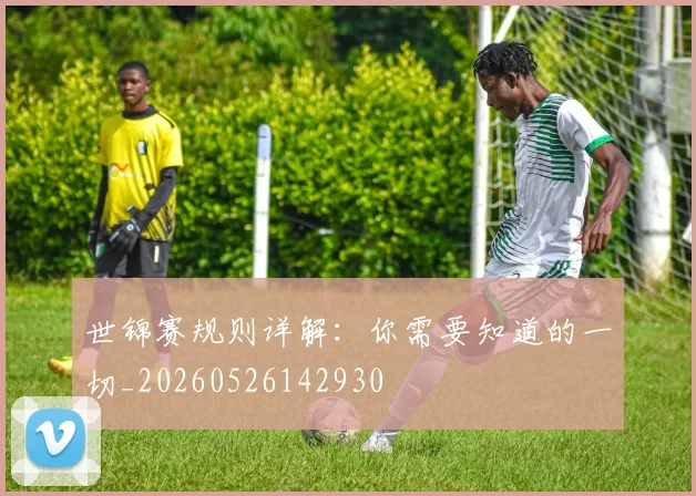 世锦赛规则详解：你需要知道的一切_20260526142930