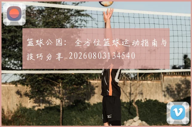 篮球公园：全方位篮球运动指南与技巧分享_20260803134540