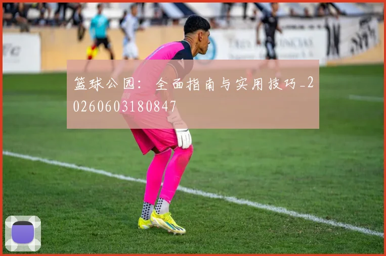 篮球公园：全面指南与实用技巧_20260603180847