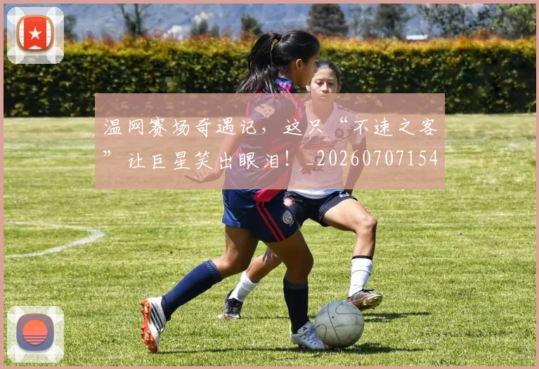 温网赛场奇遇记，这只“不速之客”让巨星笑出眼泪！_20260707154723